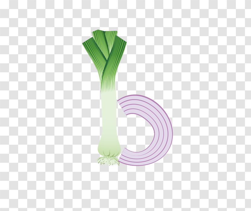 Onion English Alphabet Letter Transparent PNG