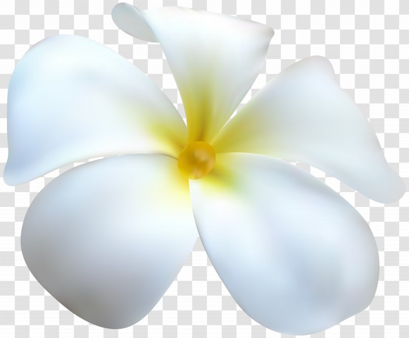 Petal Clip Art - Silhouette - Flower Transparent PNG