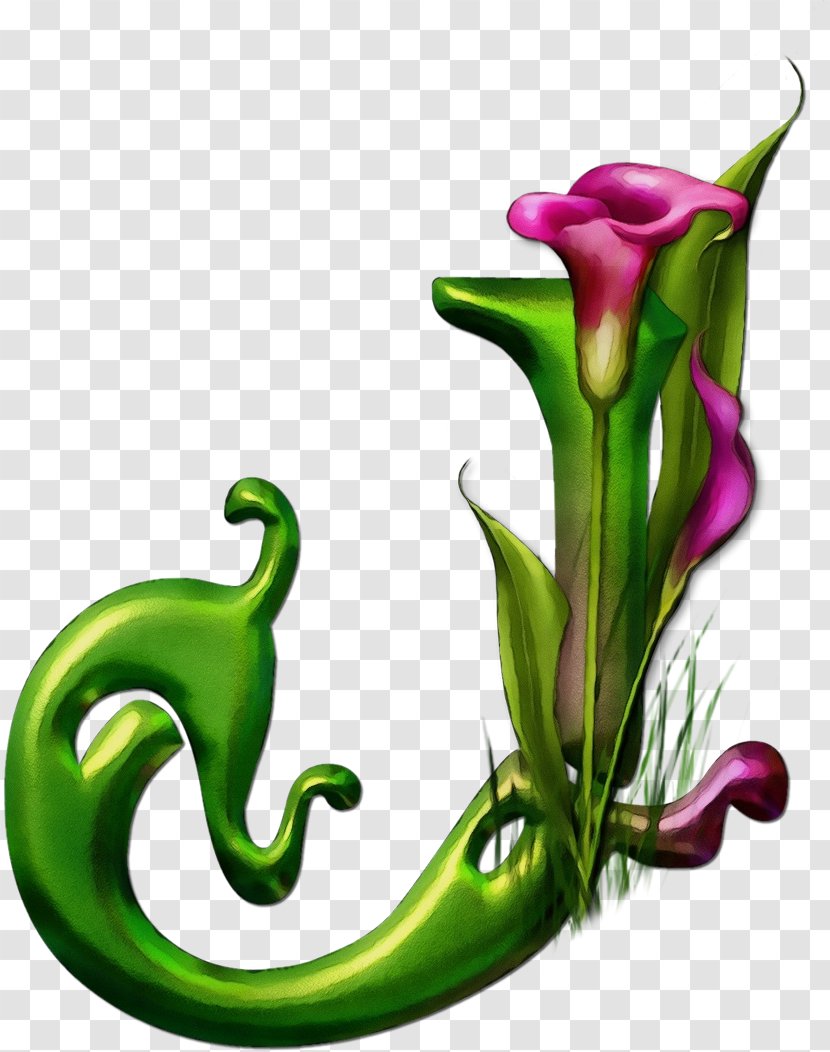 Watercolor Flower Background - Tulip - Flowering Plant Transparent PNG
