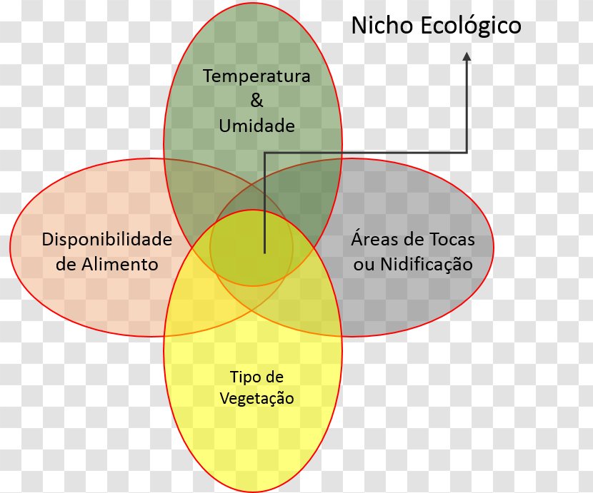 Ecological Niche Ecology Habitat Organism - Alimentação Transparent PNG