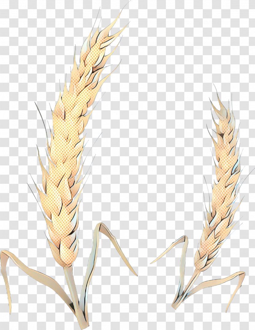 Wheat Cartoon - Cereal - Fashion Accessory Feather Transparent PNG