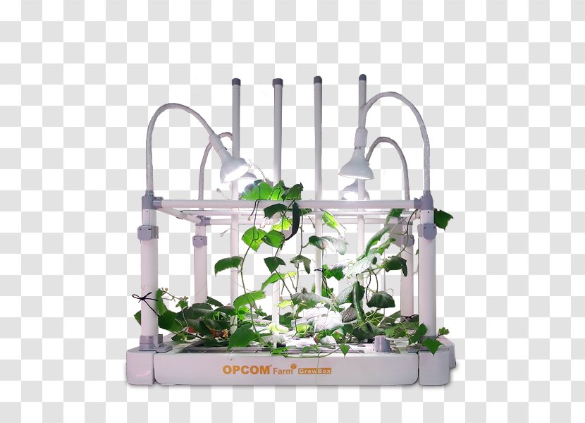 Plants - Metal - Automated Hydroponic Grow Boxes Transparent PNG
