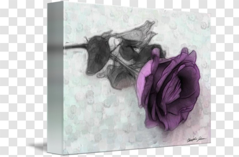 Purple Violet Flower Lilac Lavender - Craft - Rose Leslie Transparent PNG