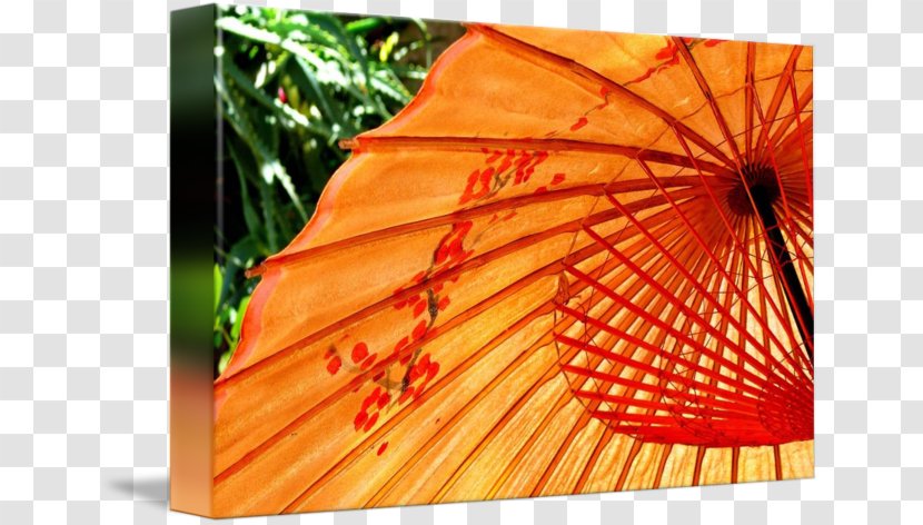 Close-up Fan - Decorative - Japanese Umbrella Transparent PNG