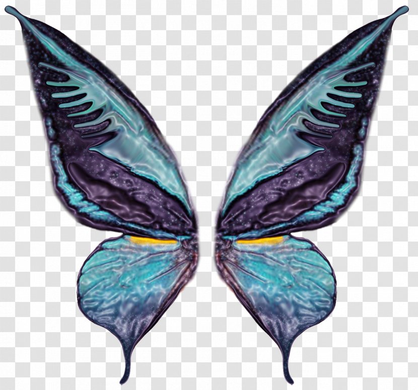 Butterfly Photography Wing - Heart - Wings Transparent PNG