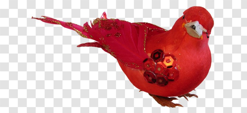 Birdcage Rooster - Animal - Bird Transparent PNG