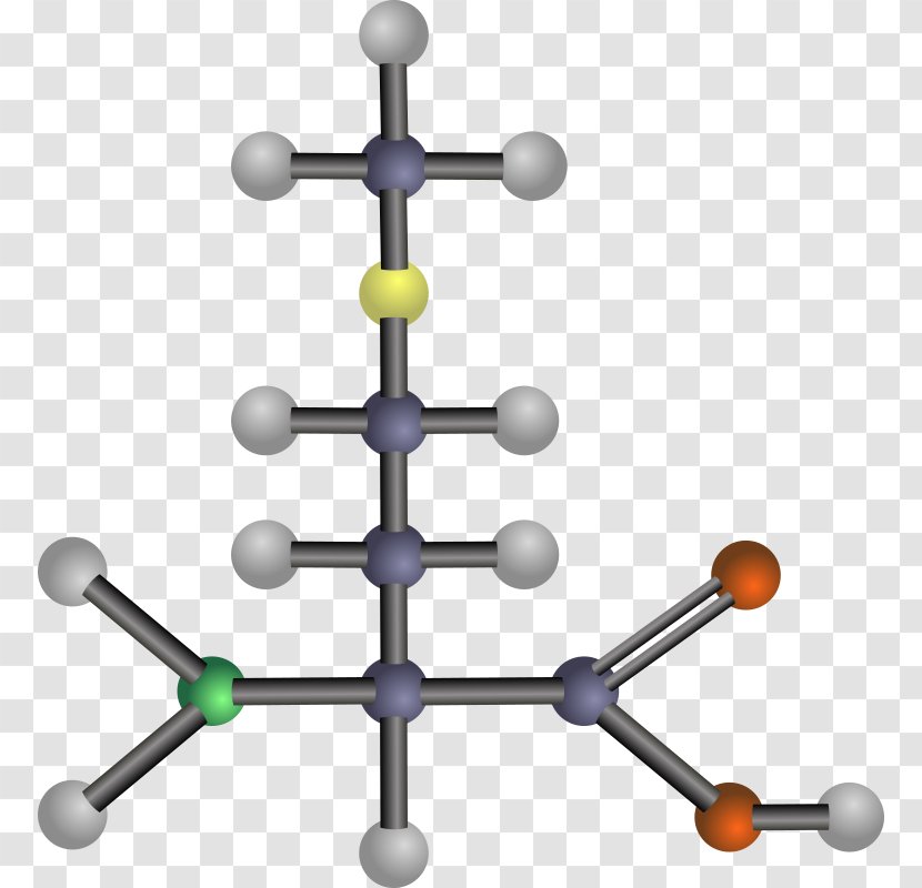 Branched-chain Amino Acid Asparagine Tyrosine - Acids Transparent PNG