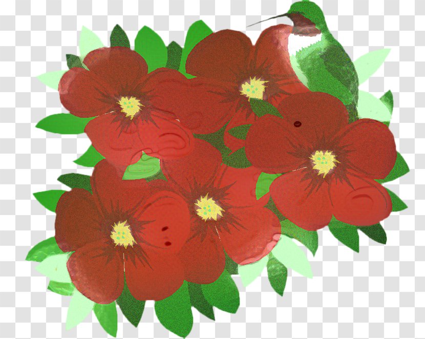 Floral Blossom - Petunia - Impatiens Transparent PNG