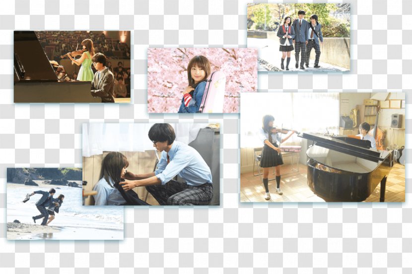 Your Lie In April Film MLBPARK - Kento Yamazaki - Wacci Transparent PNG