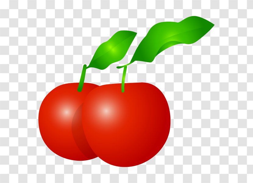 Illustration Barbados Cherry Food Clip Art Vegetable - Tomato - Plants Transparent PNG