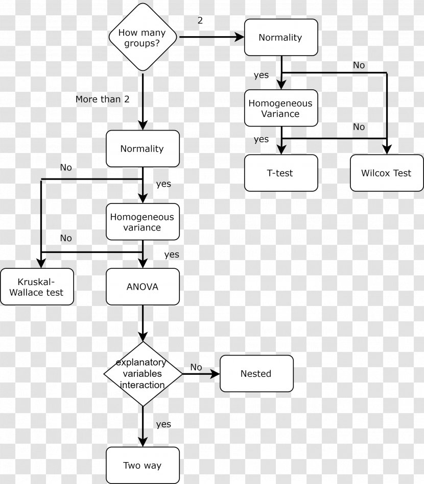 Drawing Document White - Diagram - Design Transparent PNG