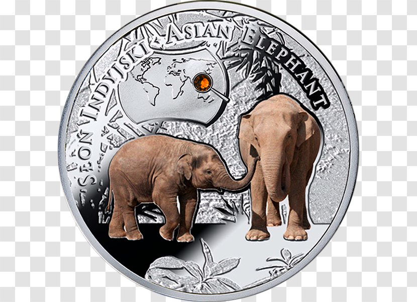 Indian Elephant Coin African Bush Endangered Species Elephants - Vertebrate Transparent PNG