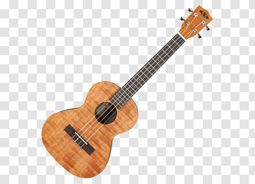 Ukulele Banjo Uke Guitar Oscar Schmidt Inc. - Heart Transparent PNG