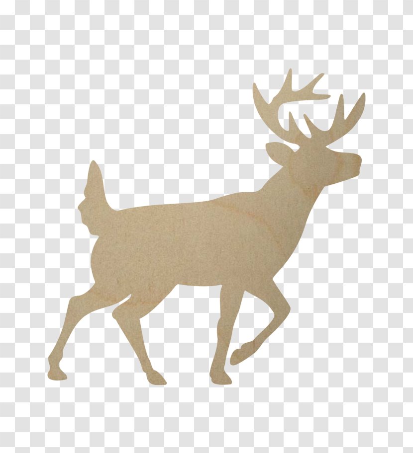 Reindeer Elk Antler Red Deer - Tail Transparent PNG