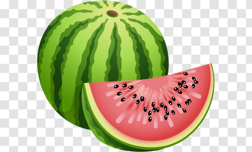 Watermelon Clip Art - Fruit - In Water Transparent PNG