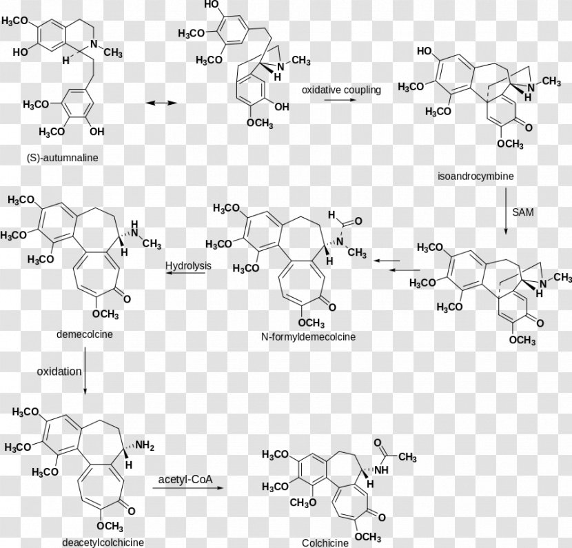 Colchicine Gout Pharmaceutical Drug Autumn Crocus Biosynthesis - Allopurinol Transparent PNG