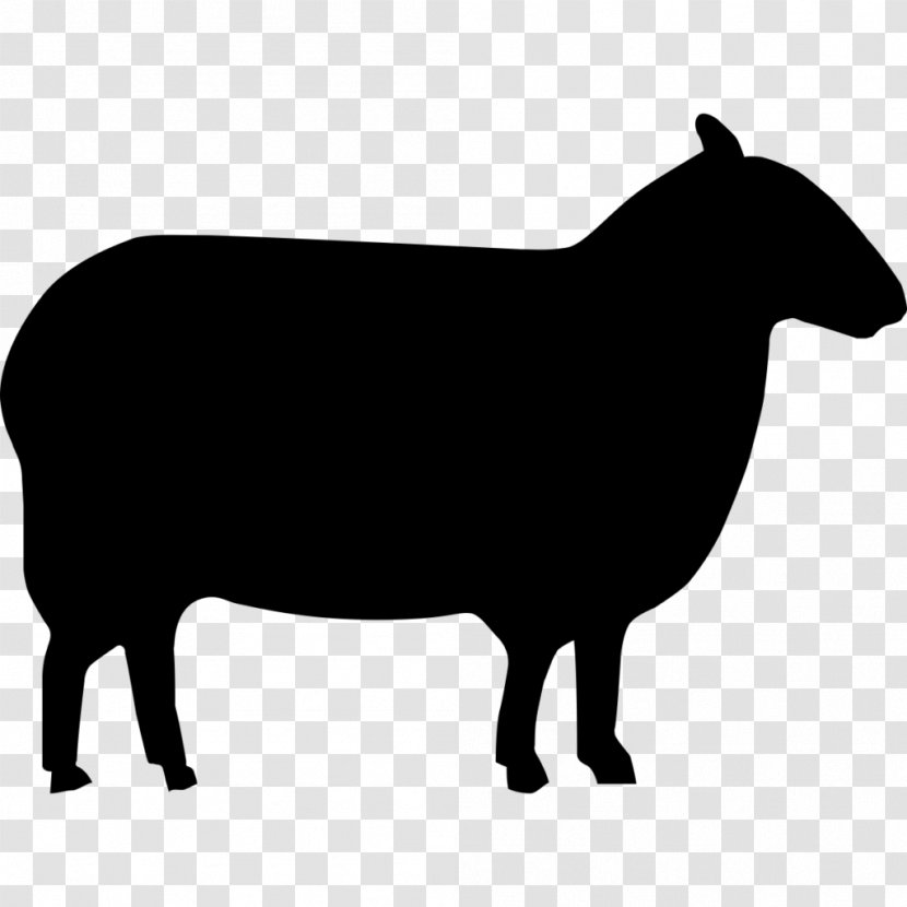 East Friesian Sheep Shetland Awassi Merino Milk Transparent PNG