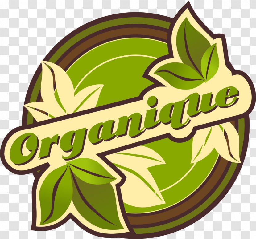 Logo Flowering Plant Green Fruit Font - Leaf - Business Card Design Of Vegetable And Shop Transparent PNG