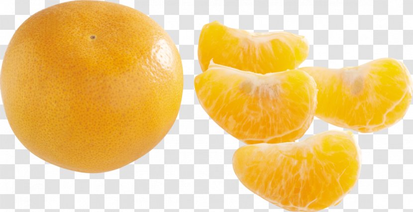 Clementine Mandarin Orange Tangerine Lemon Transparent PNG