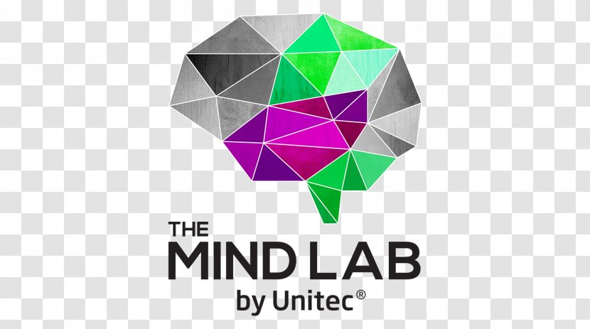The Mind Lab By Unitec Gisborne Institute Of Technology Education Teacher - Triangle Transparent PNG