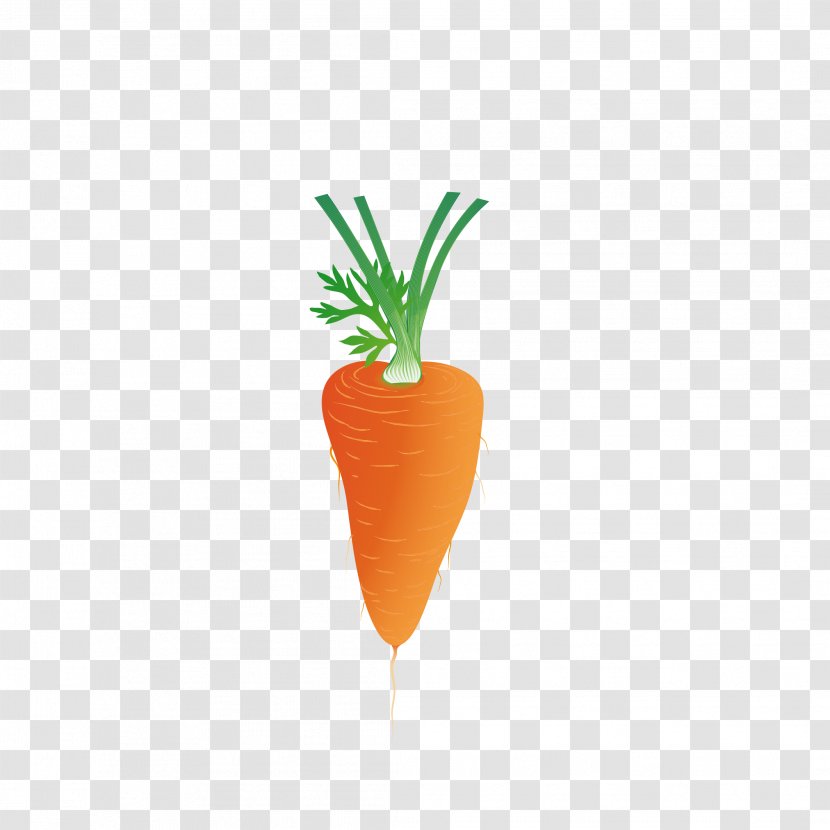 Carrot Euclidean Vector Download Clip Art - Scalable Graphics - Fresh Transparent PNG
