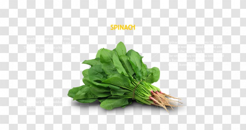 Vegetable Spinach Food Health Grocery Store - Lemon Transparent PNG