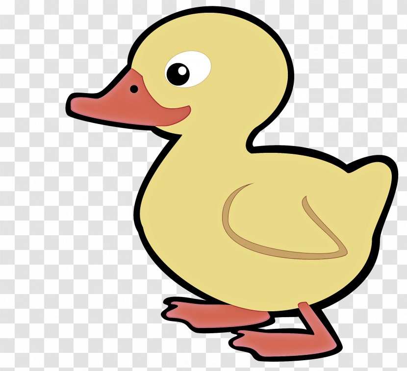 Duck Bird Ducks, Geese And Swans Water Beak - Goose - Yellow Transparent PNG