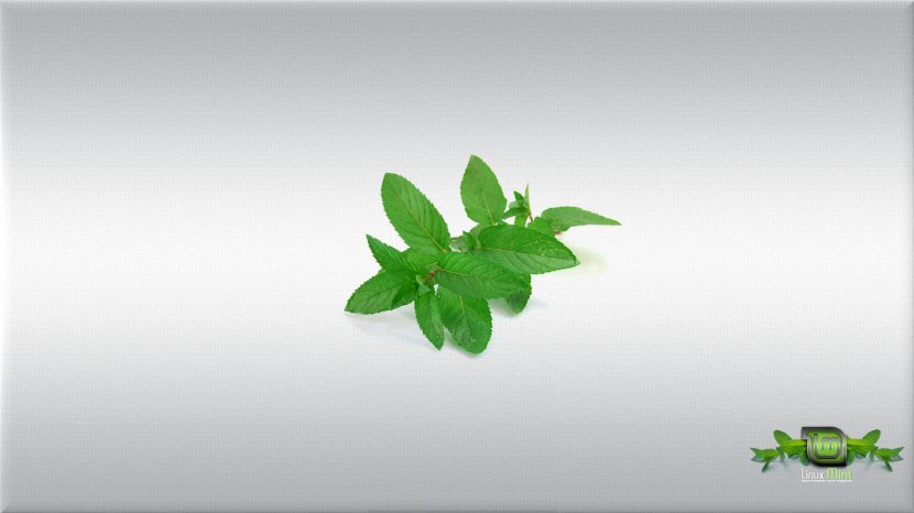 Linux Mint Plant Herb Wallpaper Transparent PNG