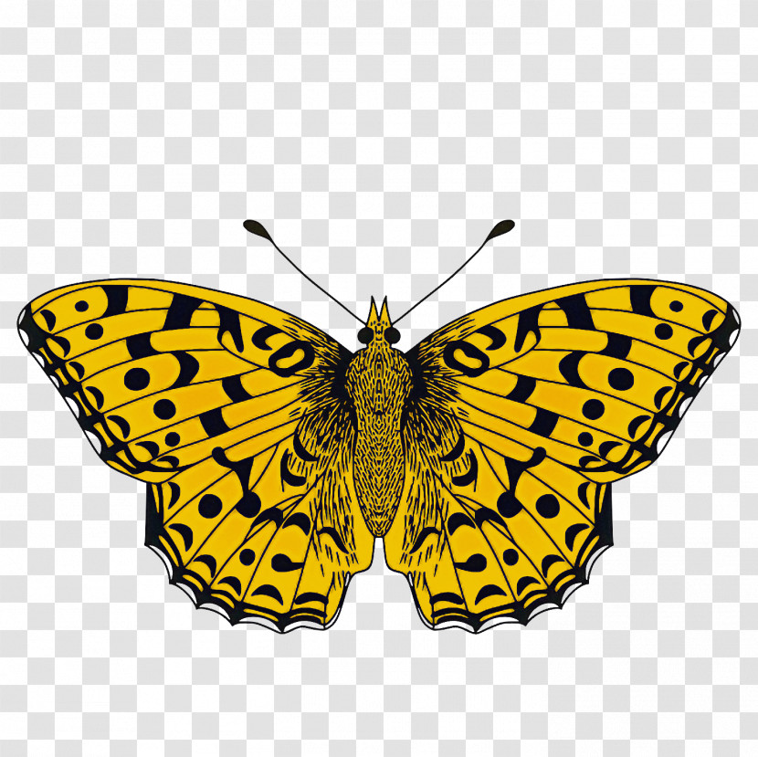 Monarch Butterfly Transparent PNG