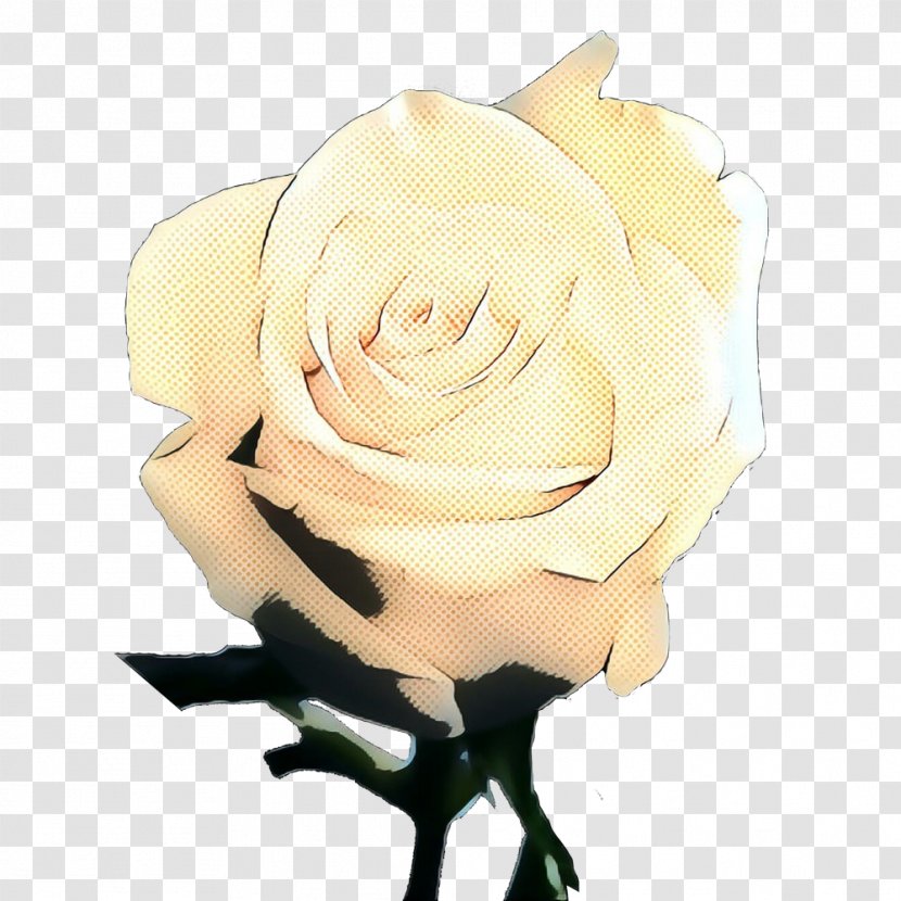 Flowers Background - Garden - Beige Rose Order Transparent PNG