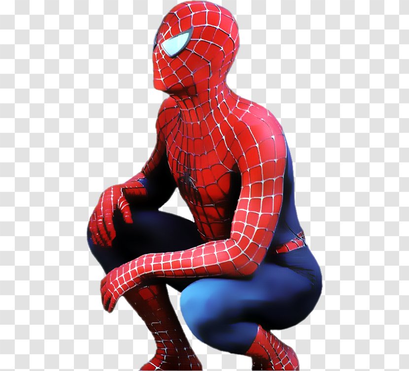 Tartan Spider-Man Character Spandex - Spiderman - Spider-man Transparent PNG