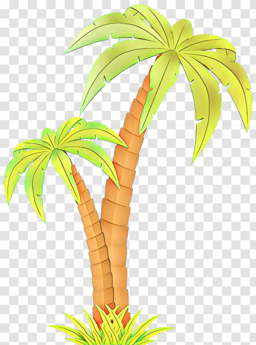 Clip Art Vector Graphics Image Palm Trees - Tree - Houseplant Transparent PNG