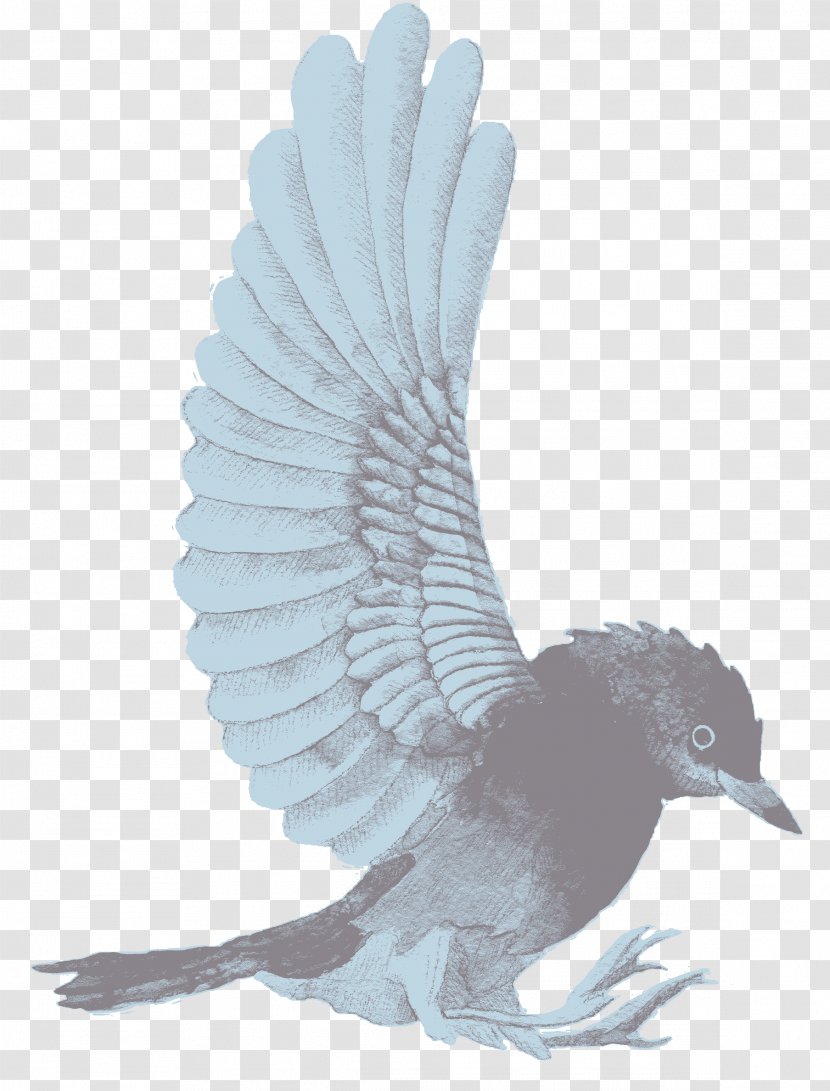 Watercolor Painting Bird Design Creativity - Category Transparent PNG