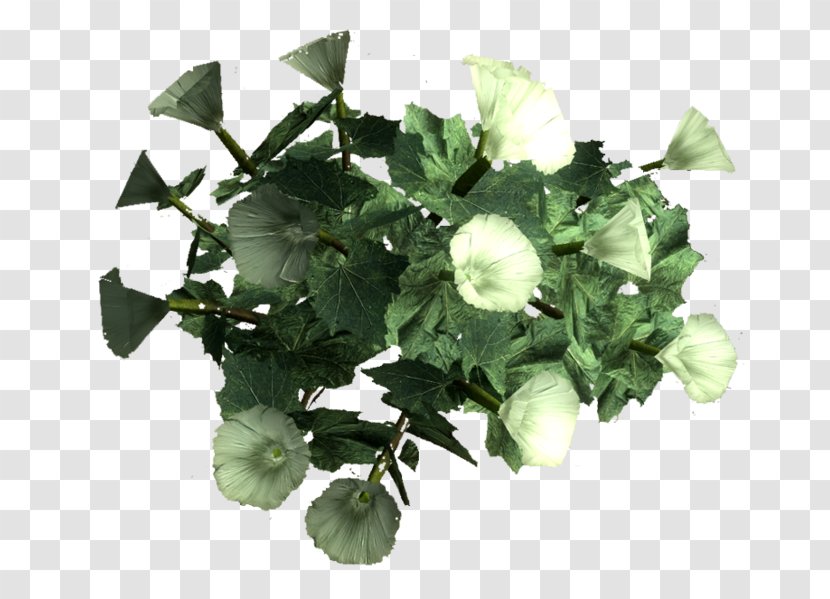 Sacred Datura Leaf Annual Plant Fallout 4 Transparent PNG