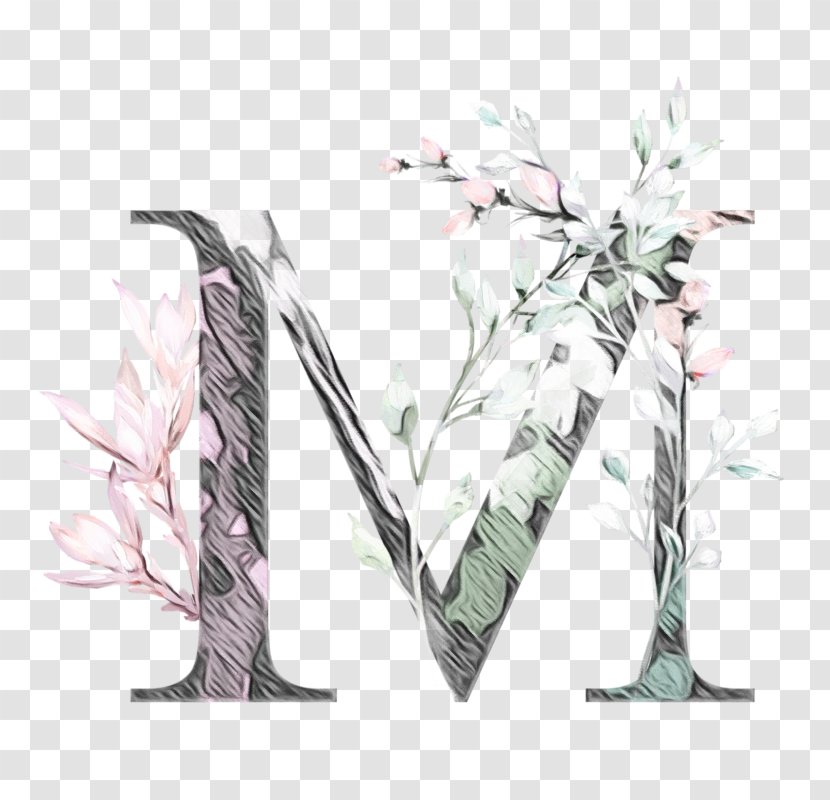 Leaf Branch Tree Plant Twig - Drawing Transparent PNG