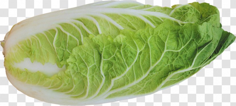 Cruciferous Vegetables Romaine Lettuce Sandwich Collard Greens Leaf Vegetable - Capitata Group - Salad Transparent PNG