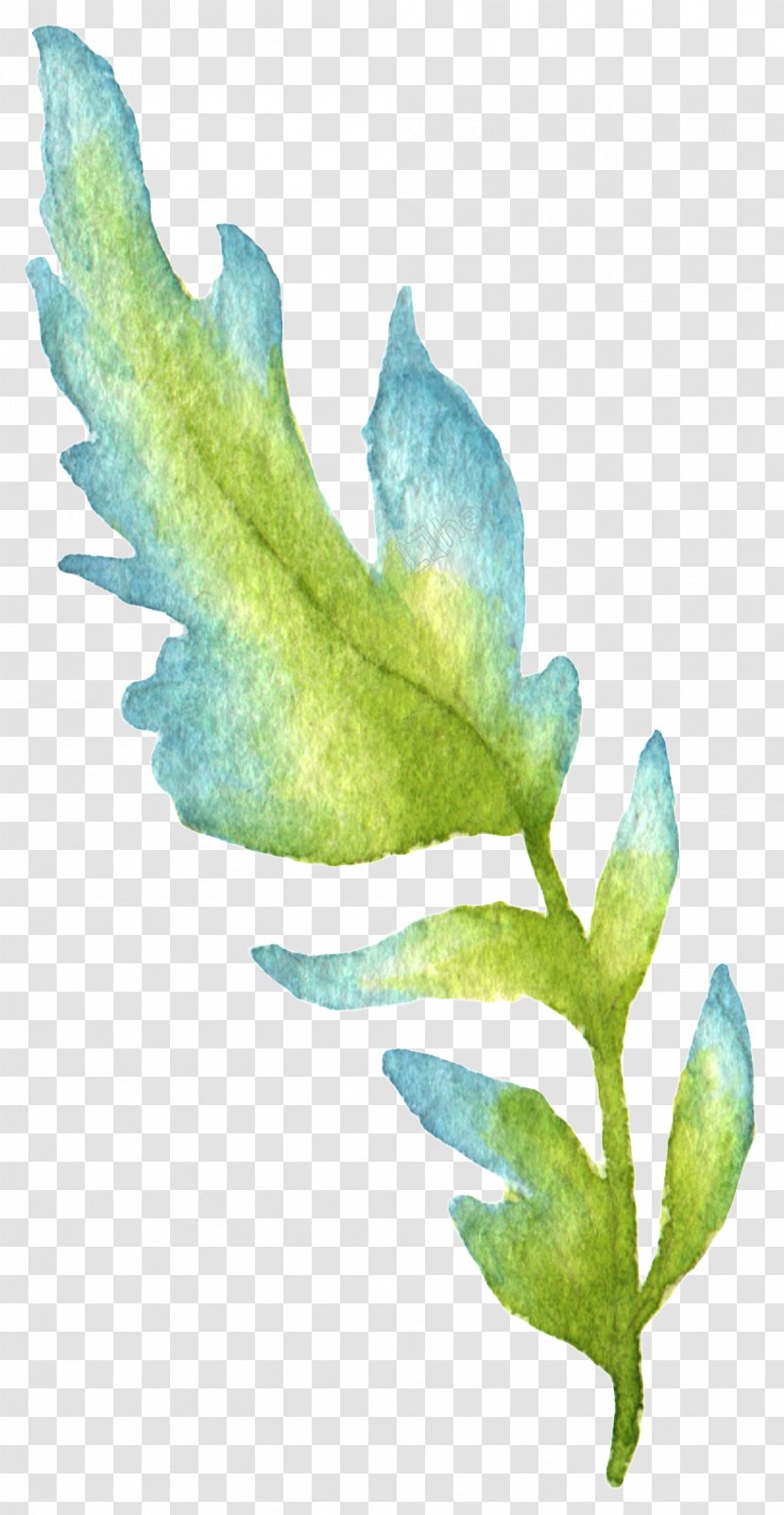 Leaf Watercolor Painting Green Image - Aqua Transparent PNG
