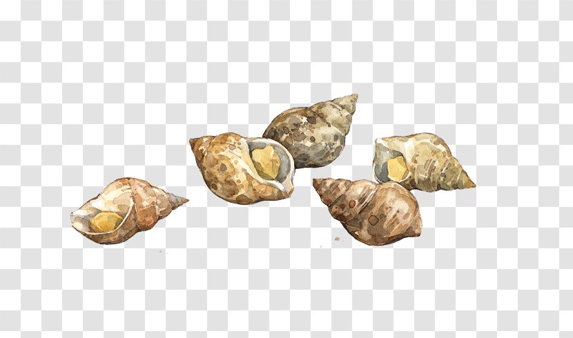 Seafood Watercolor Painting Shellfish - Clams Oysters Mussels And Scallops - Coho Salmon Transparent PNG
