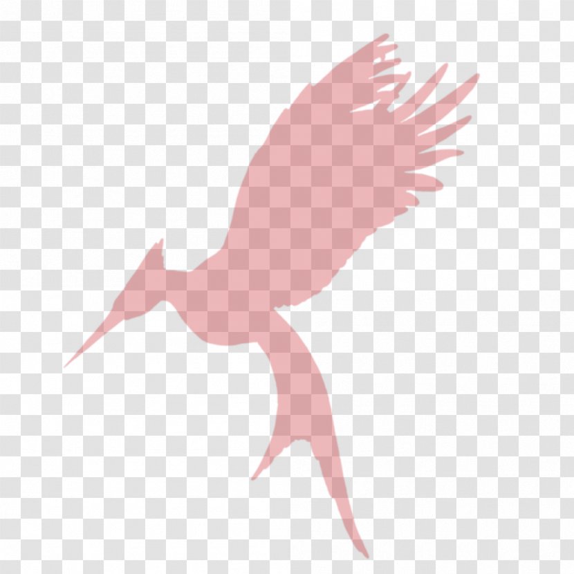 Catching Fire Mockingjay Art Stork Bird - Deviantart Transparent PNG