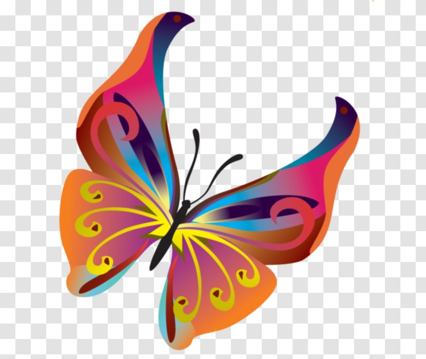 Butterfly Clip Art - Moths And Butterflies - Movement Vector Transparent PNG