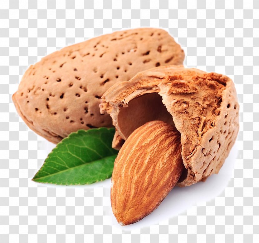 Almond Nut Dried Fruit Cashew - Chestnut Transparent PNG