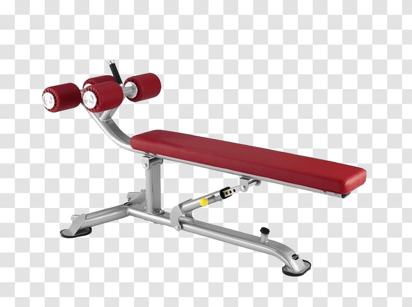 Bench Crunch Exercise Weight Training Physical Fitness Transparent PNG