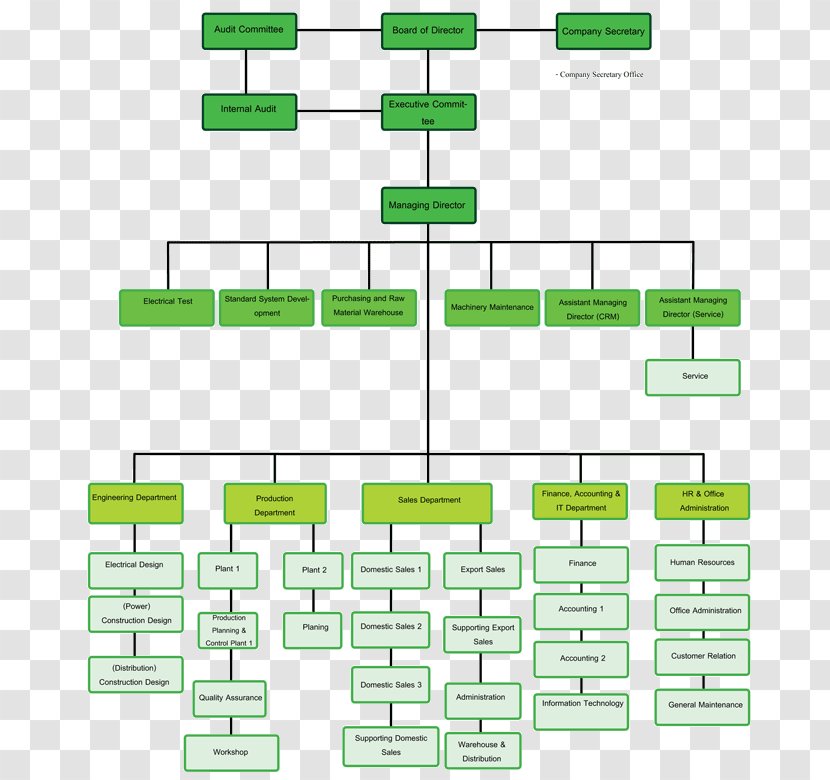 Organizational Chart Structure Business Public Company Transparent PNG