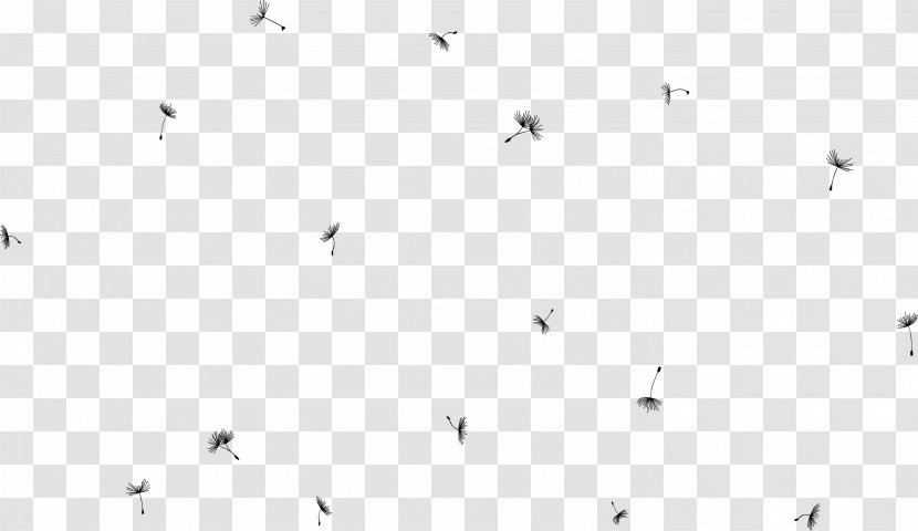 Line Point Angle Black And White - Area - Hand Flying Dandelion Transparent PNG
