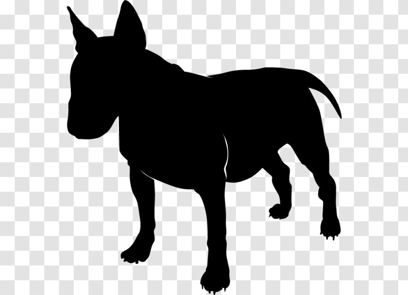 American Pit Bull Terrier French Bulldog - Mane - Vertebrate Transparent PNG