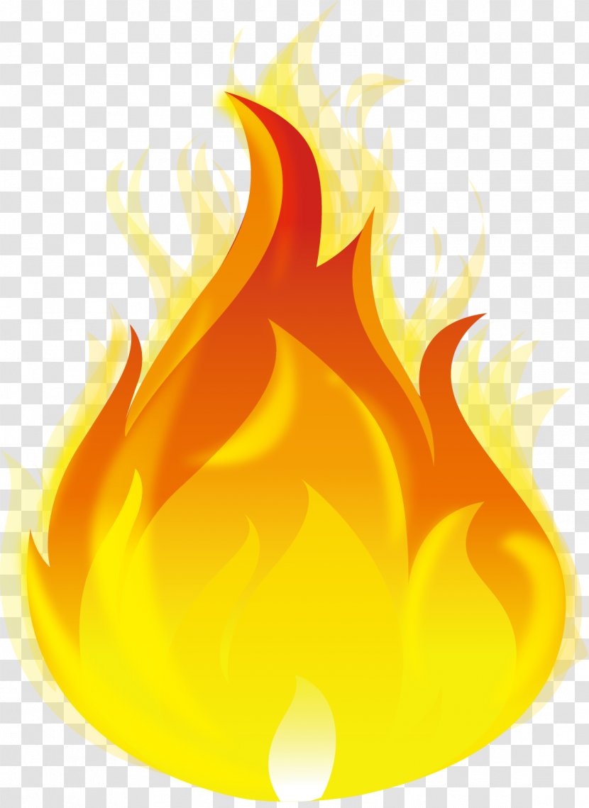 Burning Fire - Illustration - Colored Transparent PNG