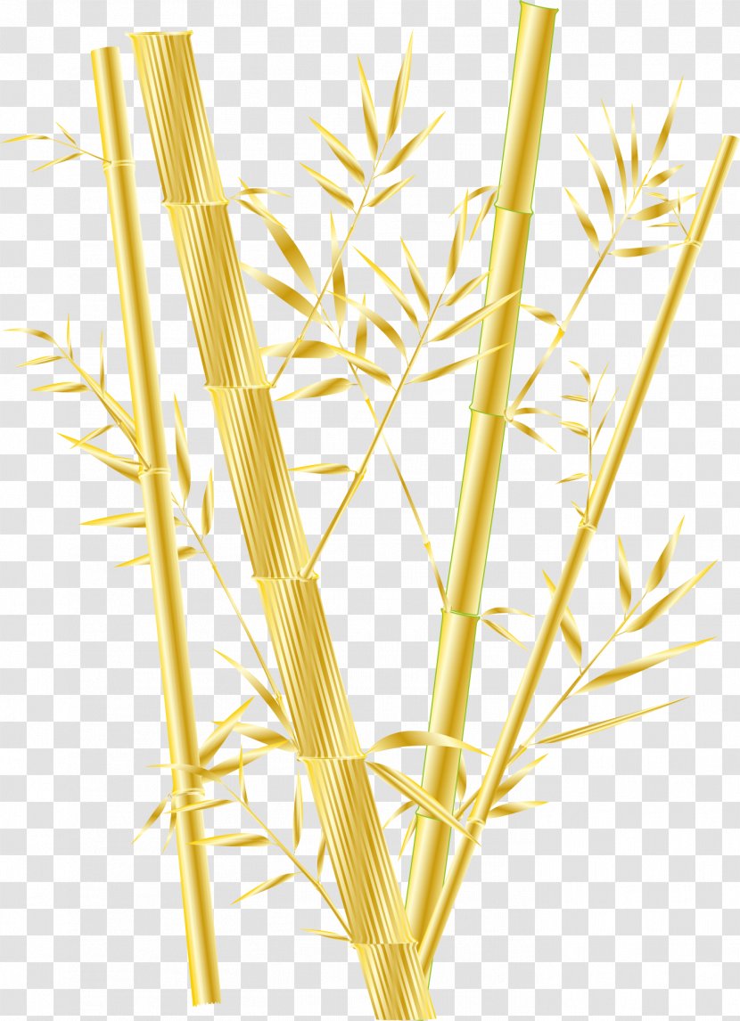 Bamboo Phyllostachys Aurea Gold - Commodity - Golden Ye Zhuzai Transparent PNG