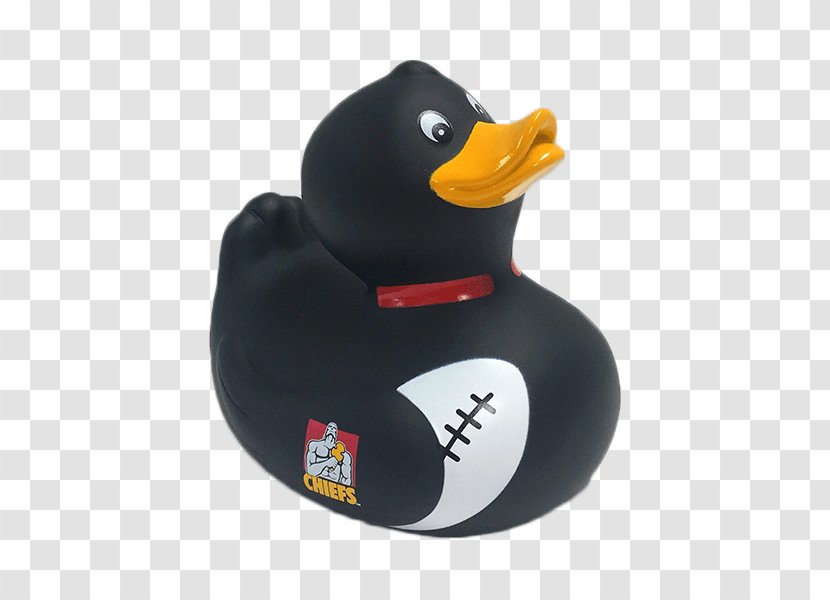 New Zealand National Rugby Union Team Highlanders Crusaders Super Duck Transparent PNG