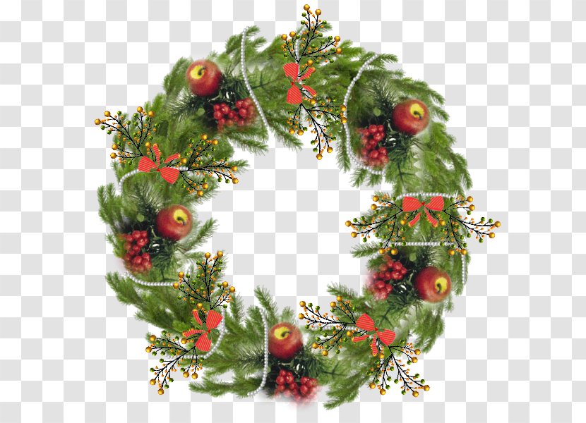 Christmas Ornament Wreath Pine Family - Aquifoliaceae Transparent PNG