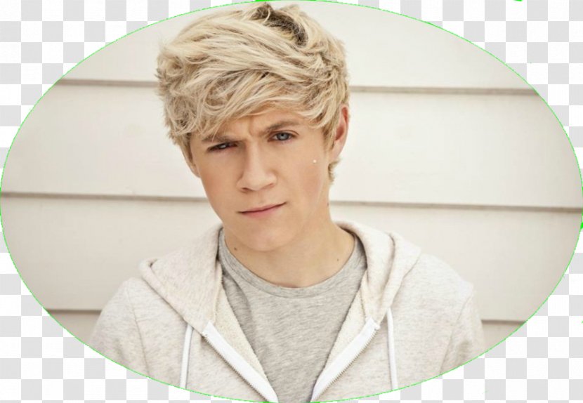 Niall Horan One Direction The X Factor Musician Guitarist - Heart - Circulo Transparent PNG